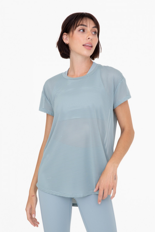 Smokey Blue Sheer Stripped Mesh Panel Back Tee Top