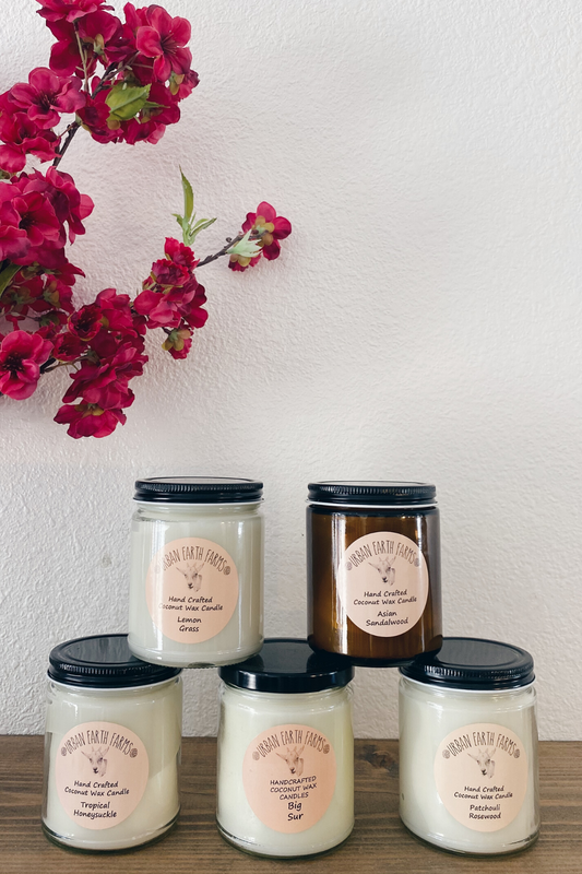 Small Handcrafted Coconut Wax Candles