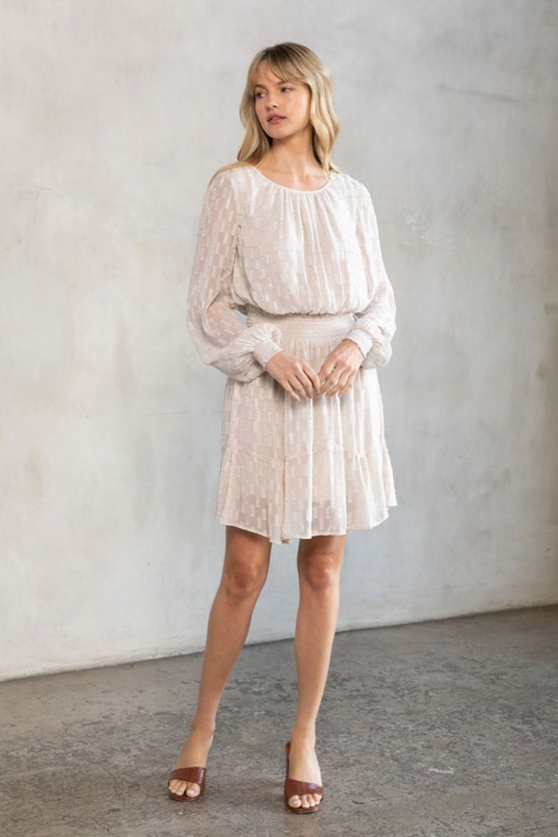 Champagne Metallic Clipped Chiffon Holiday Long Sleeve Dress