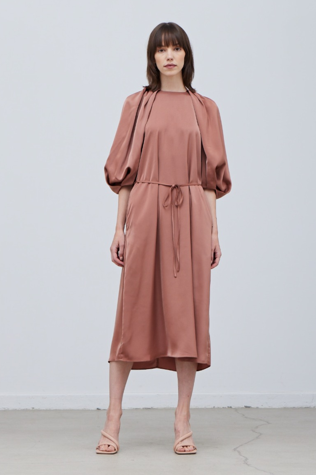 Rose Tan Blossom Sleeve Satin Dress